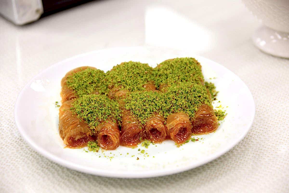 Fıstıklı Bülbül Yuvası